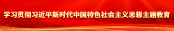 女人的逼网站学习贯彻习近平新时代中国特色社会主义思想主题教育